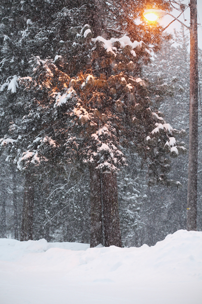 20170203 leavenworth30 sm