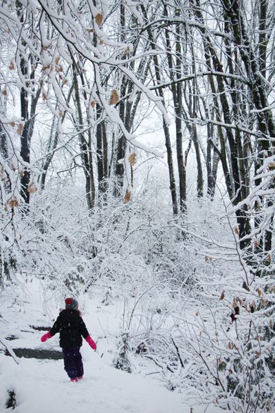 20170206 seattle snow day2 sm