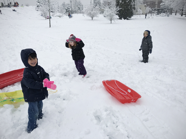 20170206 seattle snow day25 sm