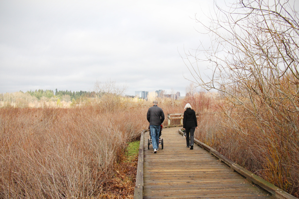 20170211 mercer slough1 sm