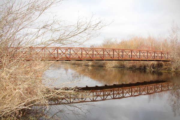 20170211 mercer slough3 sm