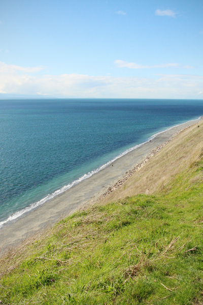 20170316 whidbey island12 sm