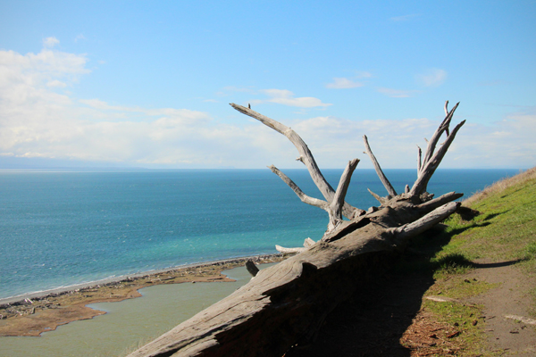 20170316 whidbey island18 sm